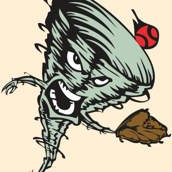 BAW STORM 09 RC Thumbnail