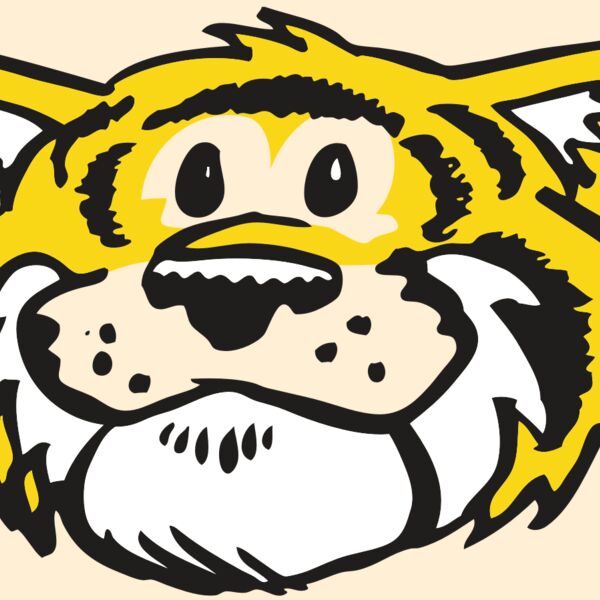 AR TIGER 90 RC Thumbnail