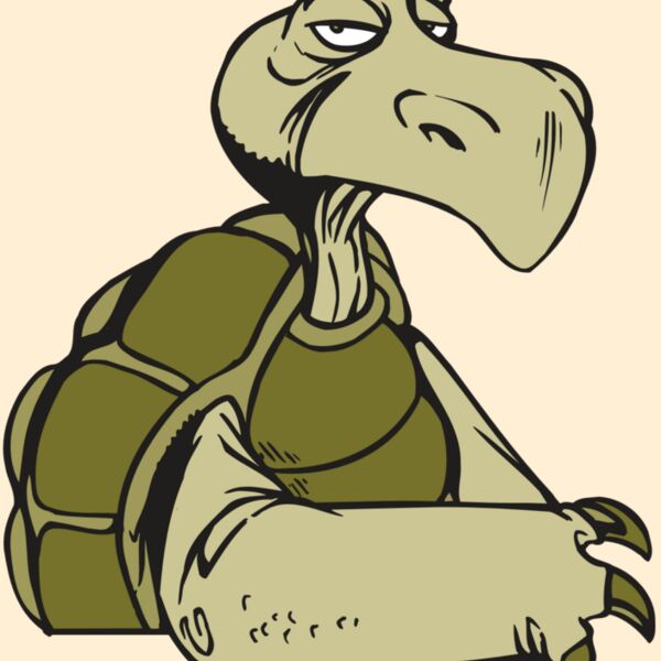 AR5 Turtle 01 RQC Thumbnail