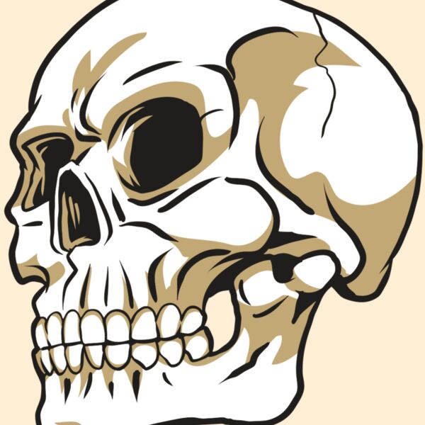 AR24 SKULL 08 RQC Thumbnail