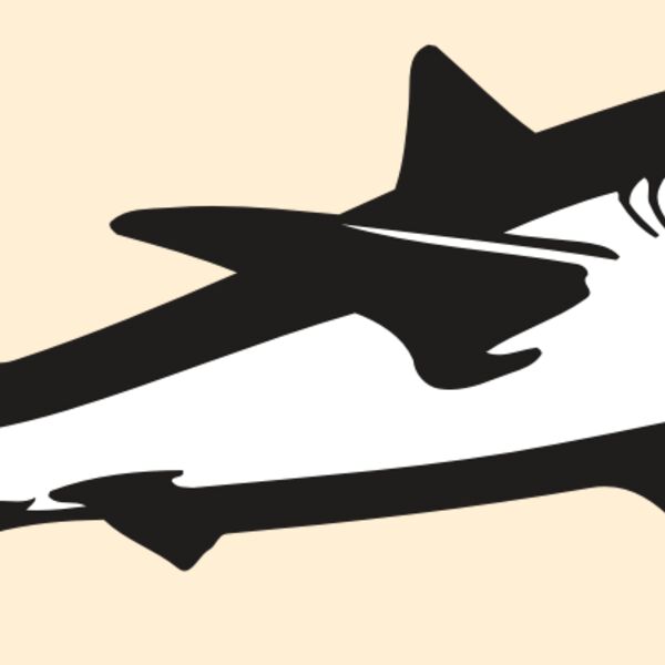 AR5 Shark 15 RQC Thumbnail