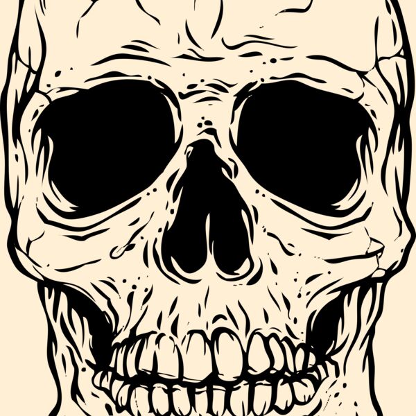 Skull Thumbnail